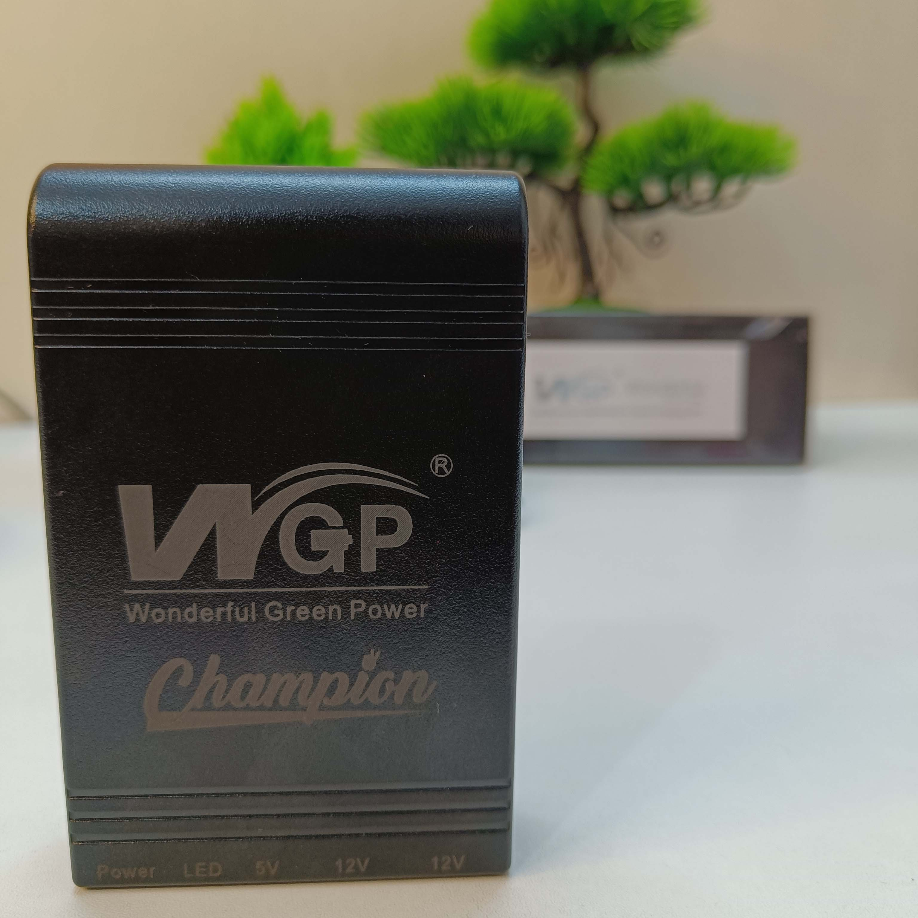 Wgp Router Ips product